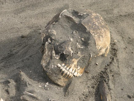 burial4a_final_skull.jpg